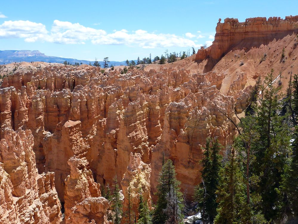 bryce canyon (66).JPG